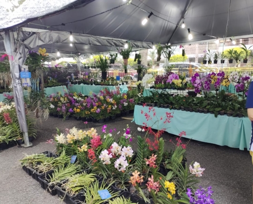 Earth Day Orchid Show 2024