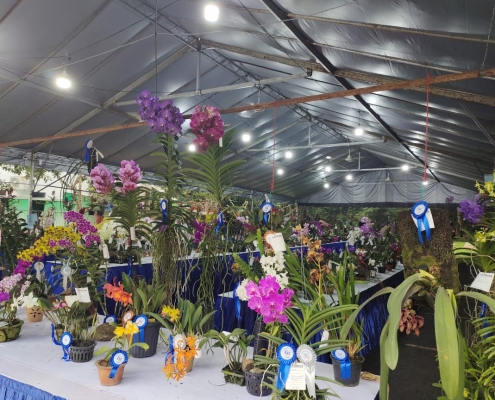 Earth Day Orchid Show 2024