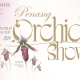 Penang Orchid Show